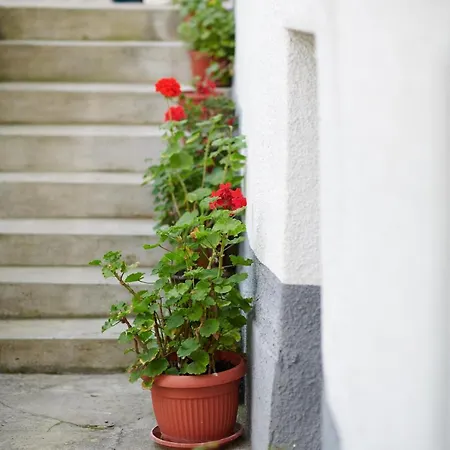 Lovely House Appartement *