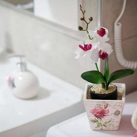 Lovely House Apartment